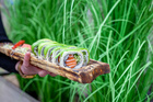 Wege Roll Olsztyn